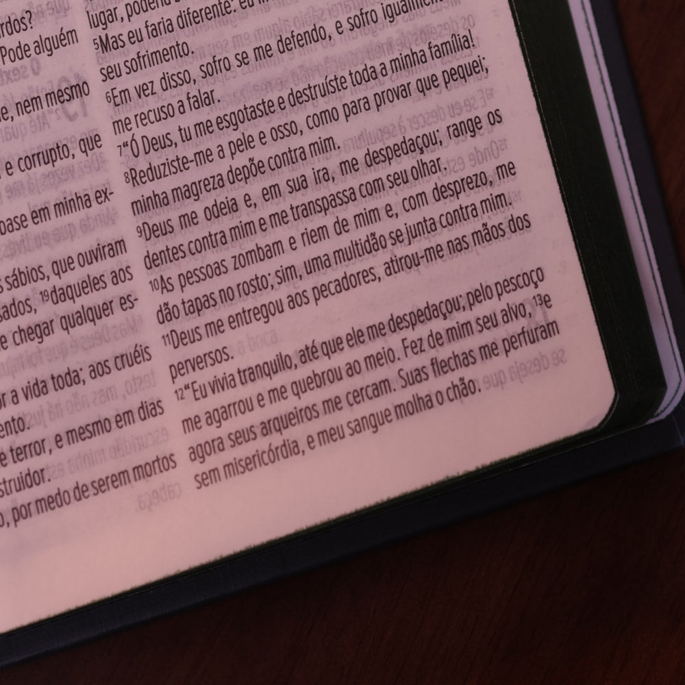 Bíblia Sagrada Slim  Buquê | NVT | Capa Dura