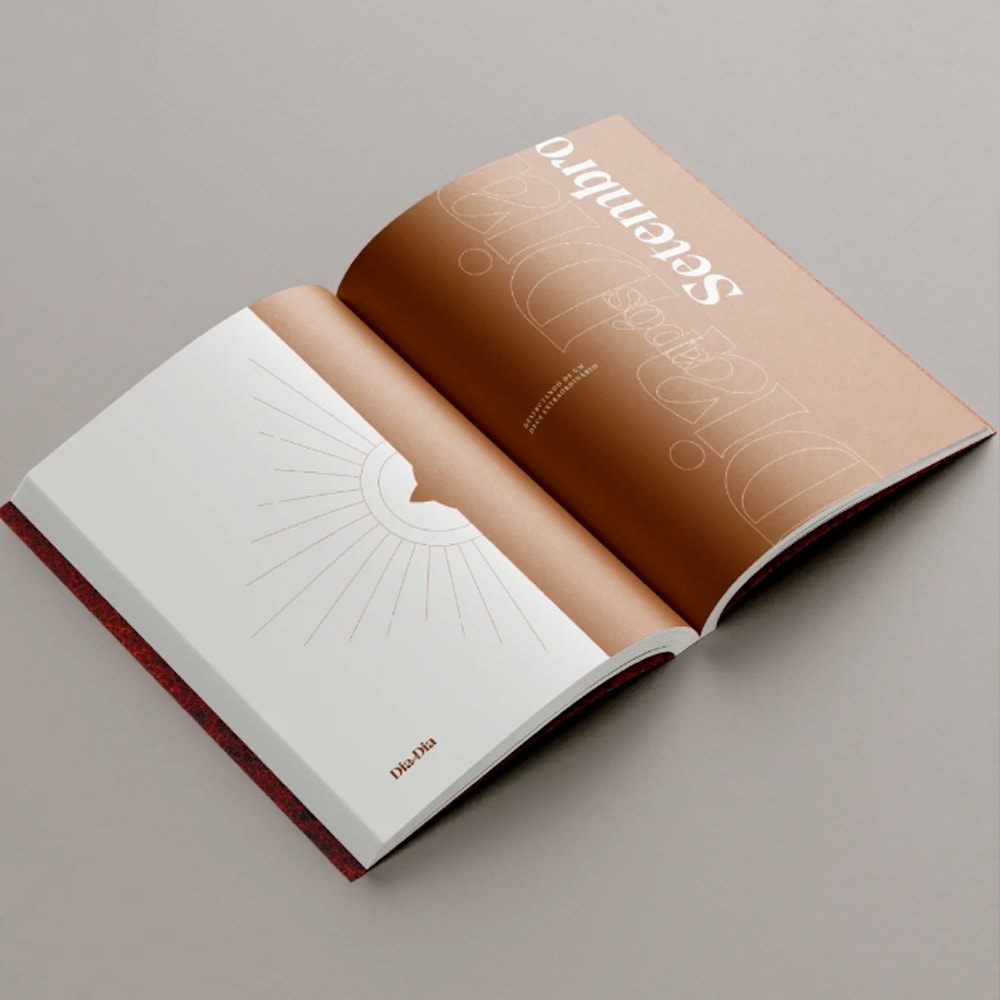 Devocional Dia Após Dia | Luiz Hermínio