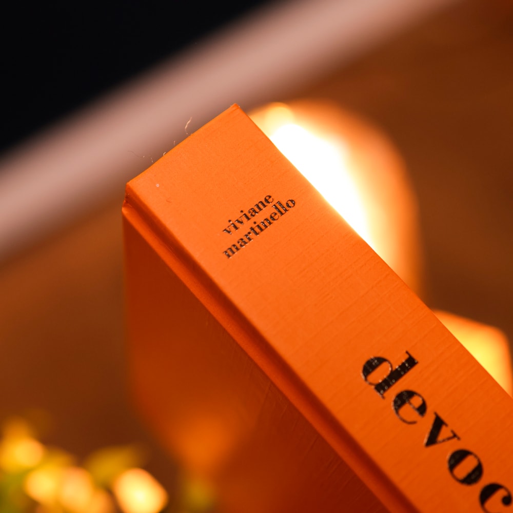 Devocional Mulheres 2026 | Viviane Martinello