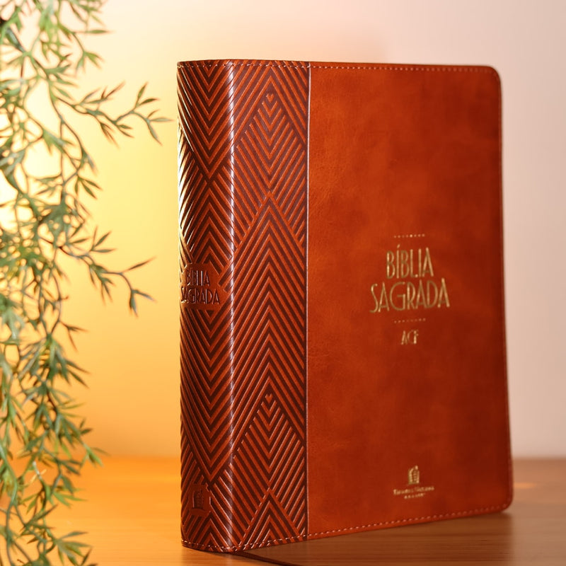 Bíblia Sagrada | ACF | Espaço Para Anotações | Leitura Perfeita | Couro-Soft Marrom