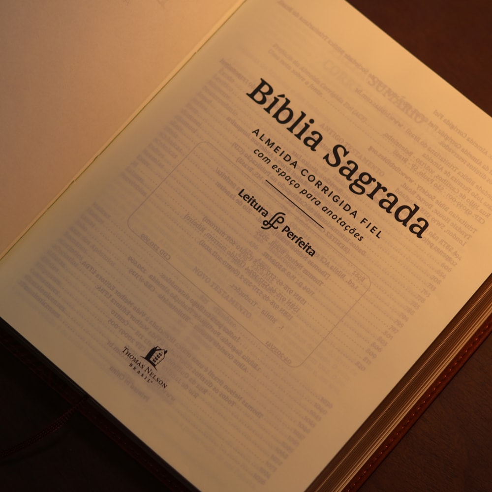 Bíblia Sagrada | ACF | Espaço Para Anotações | Leitura Perfeita | Couro-Soft Marrom