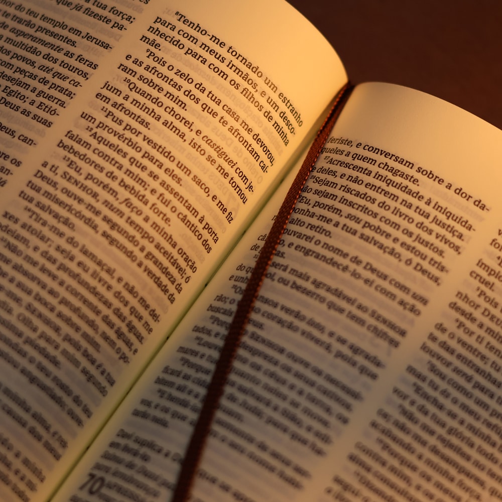 Bíblia Sagrada | ACF | Espaço Para Anotações | Leitura Perfeita | Couro-Soft Marrom