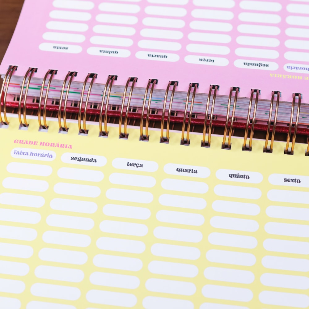 Planner Meu Plano Perfeito Florescer | Capa Dura Coração