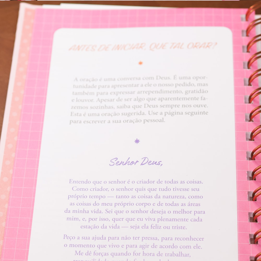 Planner Meu Plano Perfeito Florescer | Capa Dura Coração