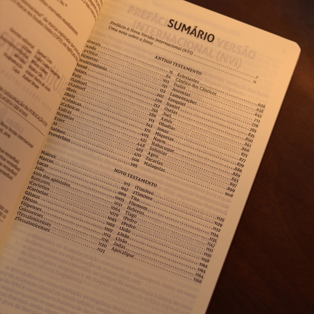 Bíblia Sagrada Meu Bem Maior | NVI | Capa Dura