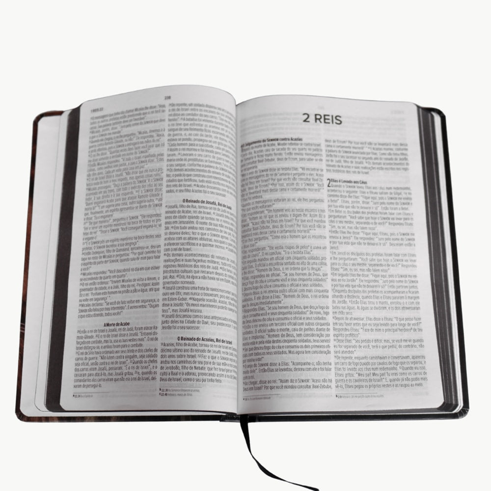Bíblia Sagrada Príncipe da Paz | NVI | Capa Dura