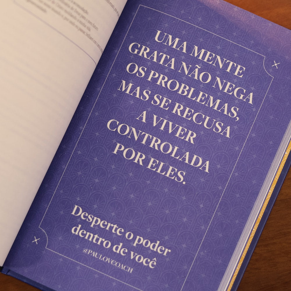 Devocional Desperte o Poder Dentro de Você |  Paulo Vieira