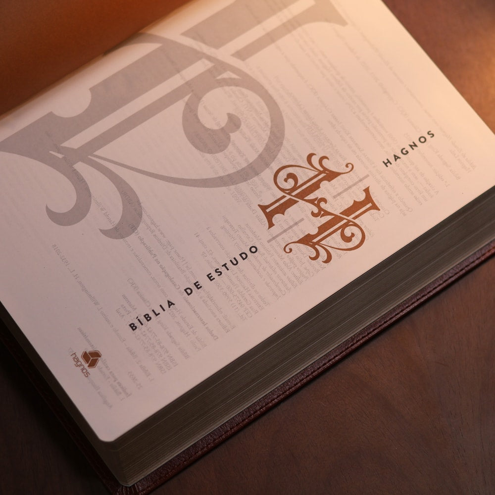 Bíblia de Estudo Hagnos | King James | Capa Luxo Marrom