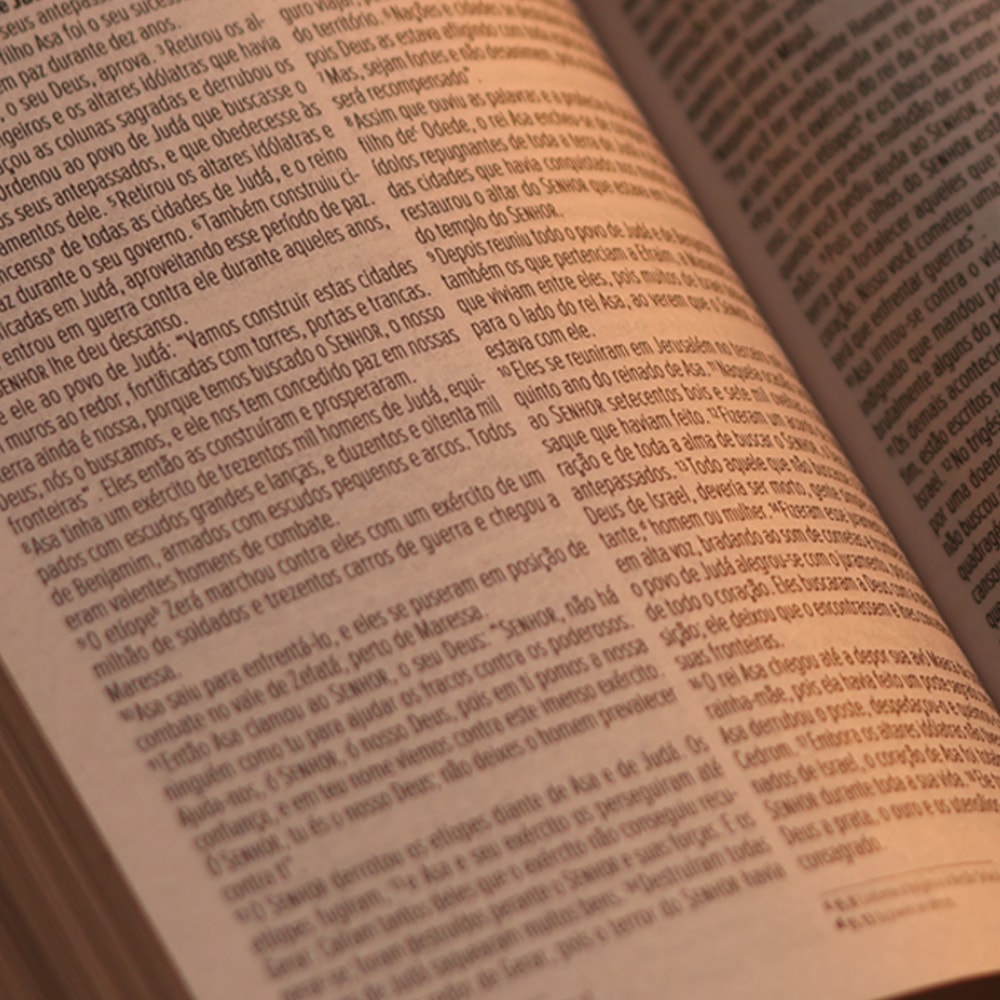 Bíblia Sagrada Doce Graça | NVT | Letra Normal | Capa Brochura