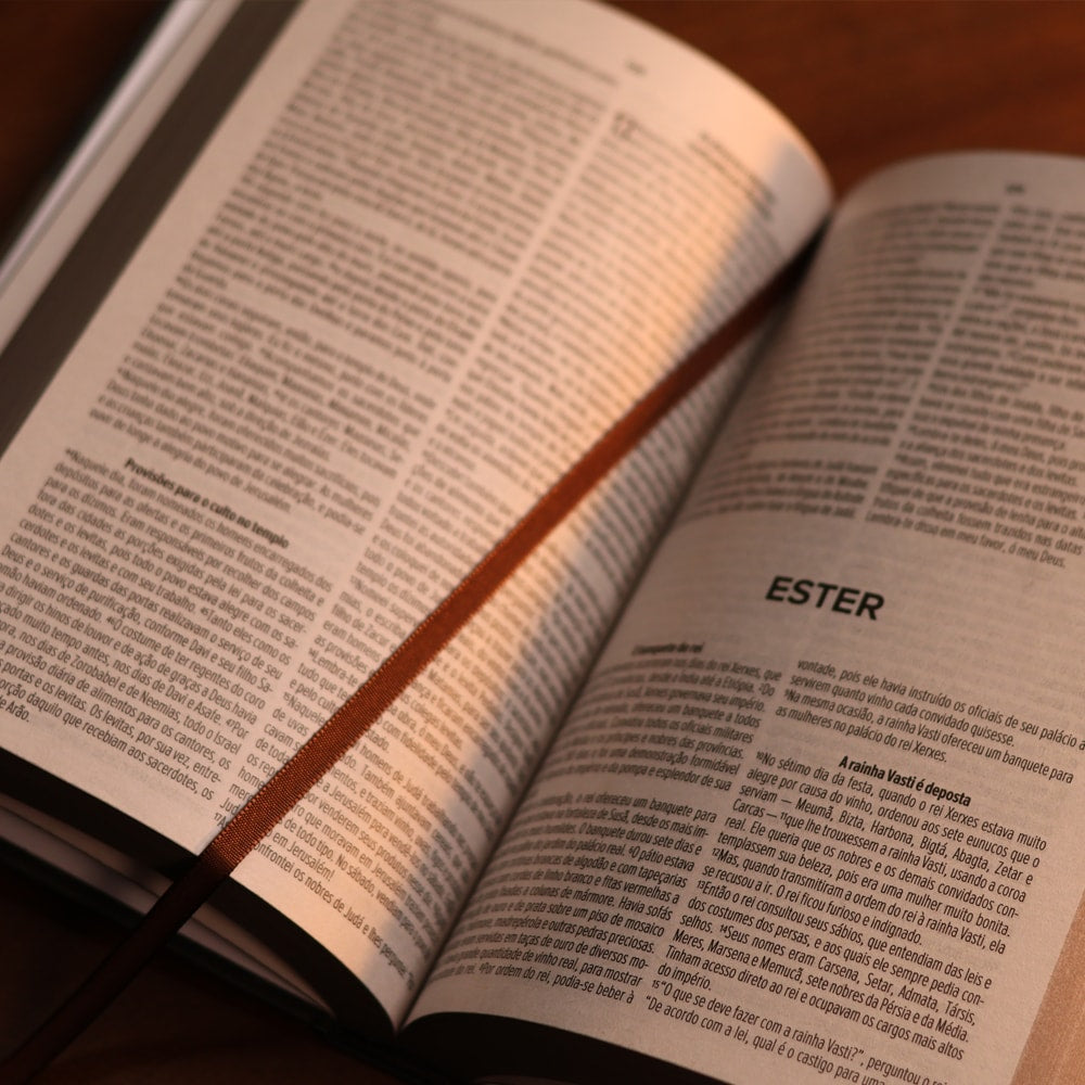 Bíblia Sagrada Voz da Palavra | NVI | Letra Normal | Capa Semi Luxo