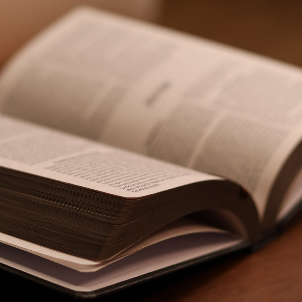 Bíblia Sagrada Voz da Palavra | NVI | Letra Normal | Capa Semi Luxo