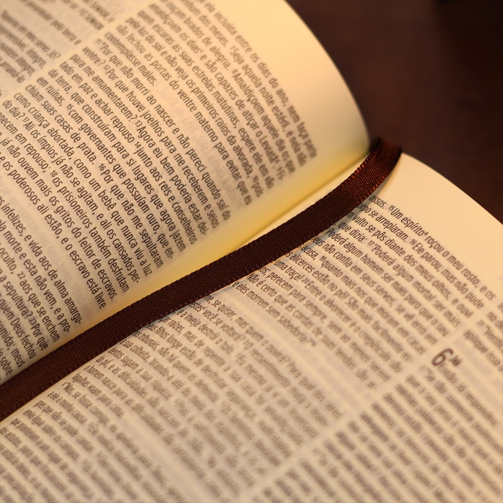 Bíblia Sagrada Essencia  Leia e Anote | NVI | Capa Luxo Marrom