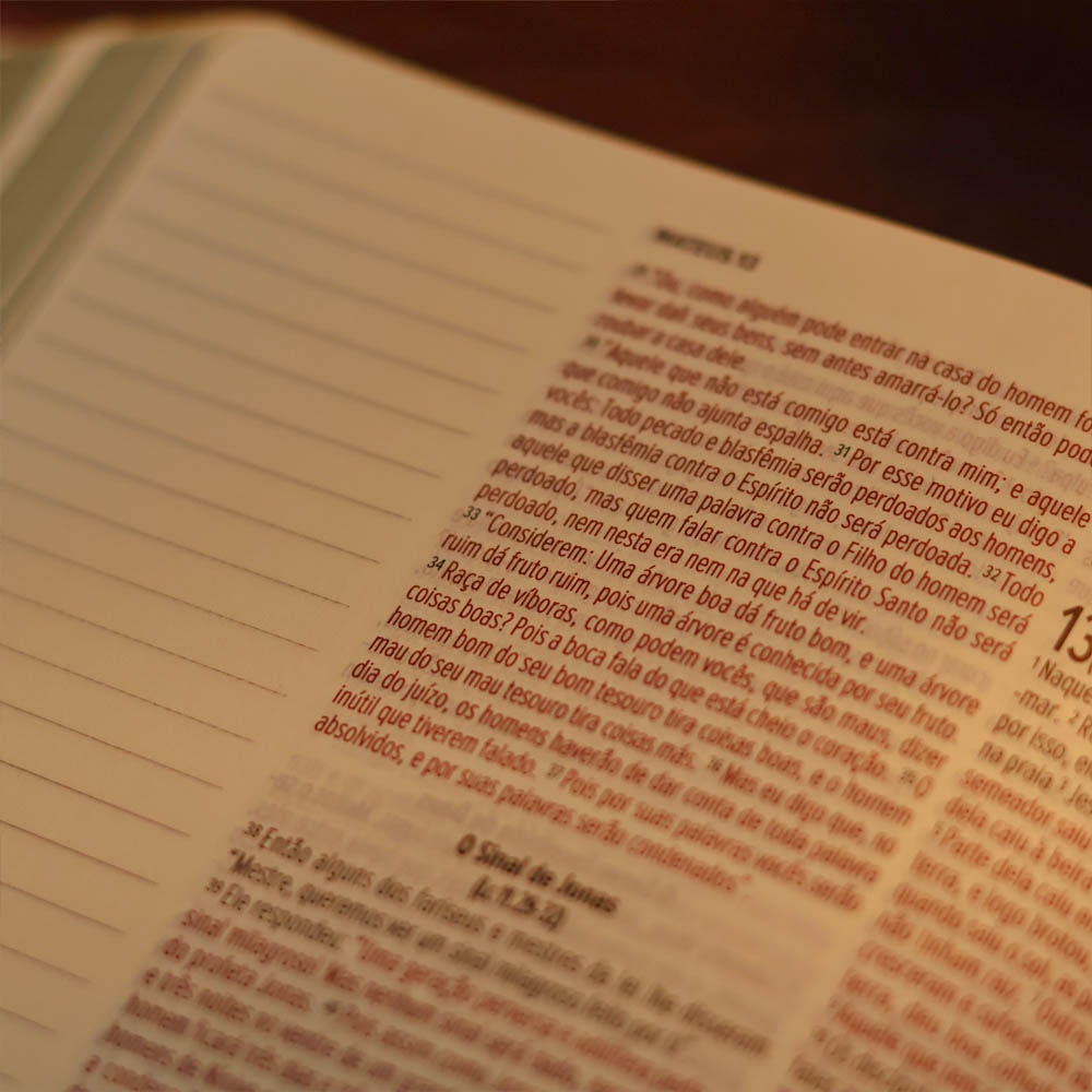 Bíblia Sagrada Essencia  Leia e Anote | NVI | Capa Luxo Marrom