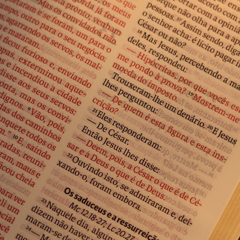 Bíblia Sagrada  | NAA | Letra Gigante | Marrom