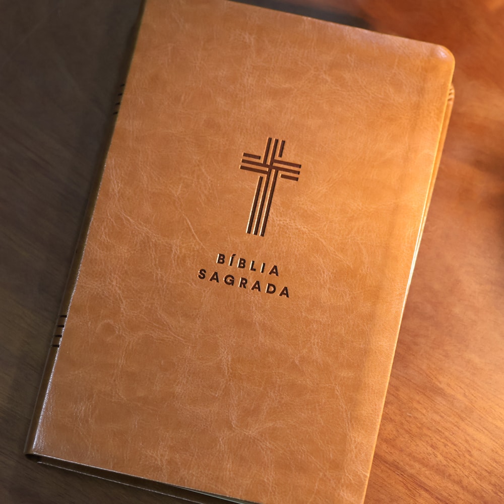 Bíblia Sagrada | NVI | Letra Gigante | Marrom
