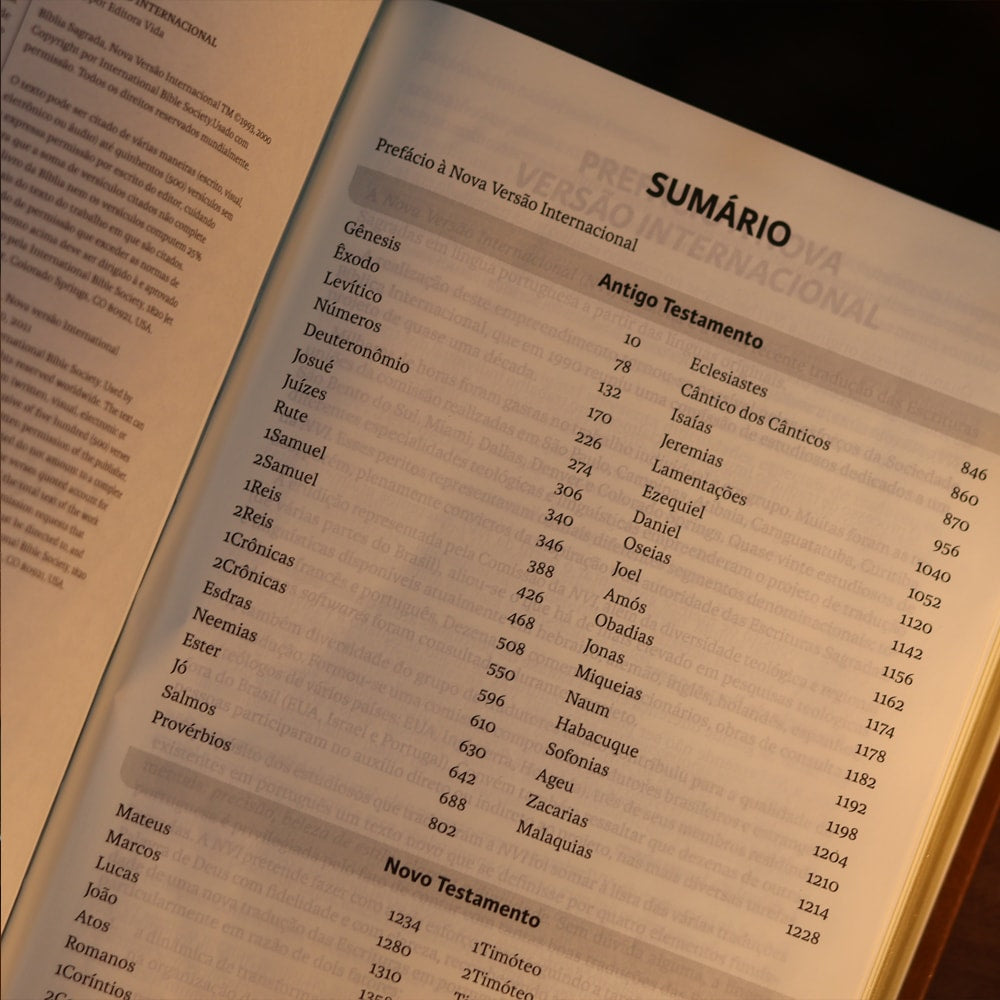 Bíblia Sagrada | NVI | Letra Gigante | Marrom