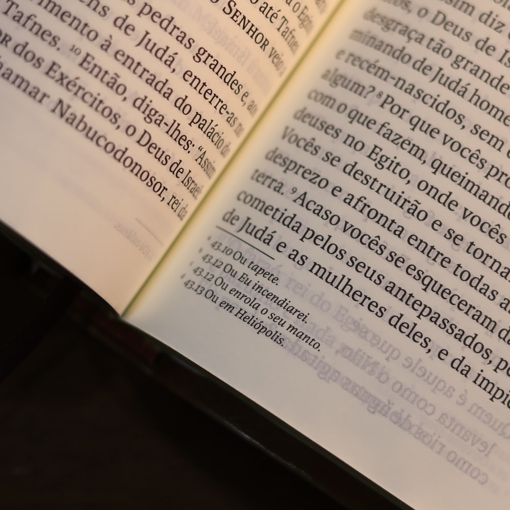 Bíblia Sagrada | NVI | Letra Gigante | Marrom
