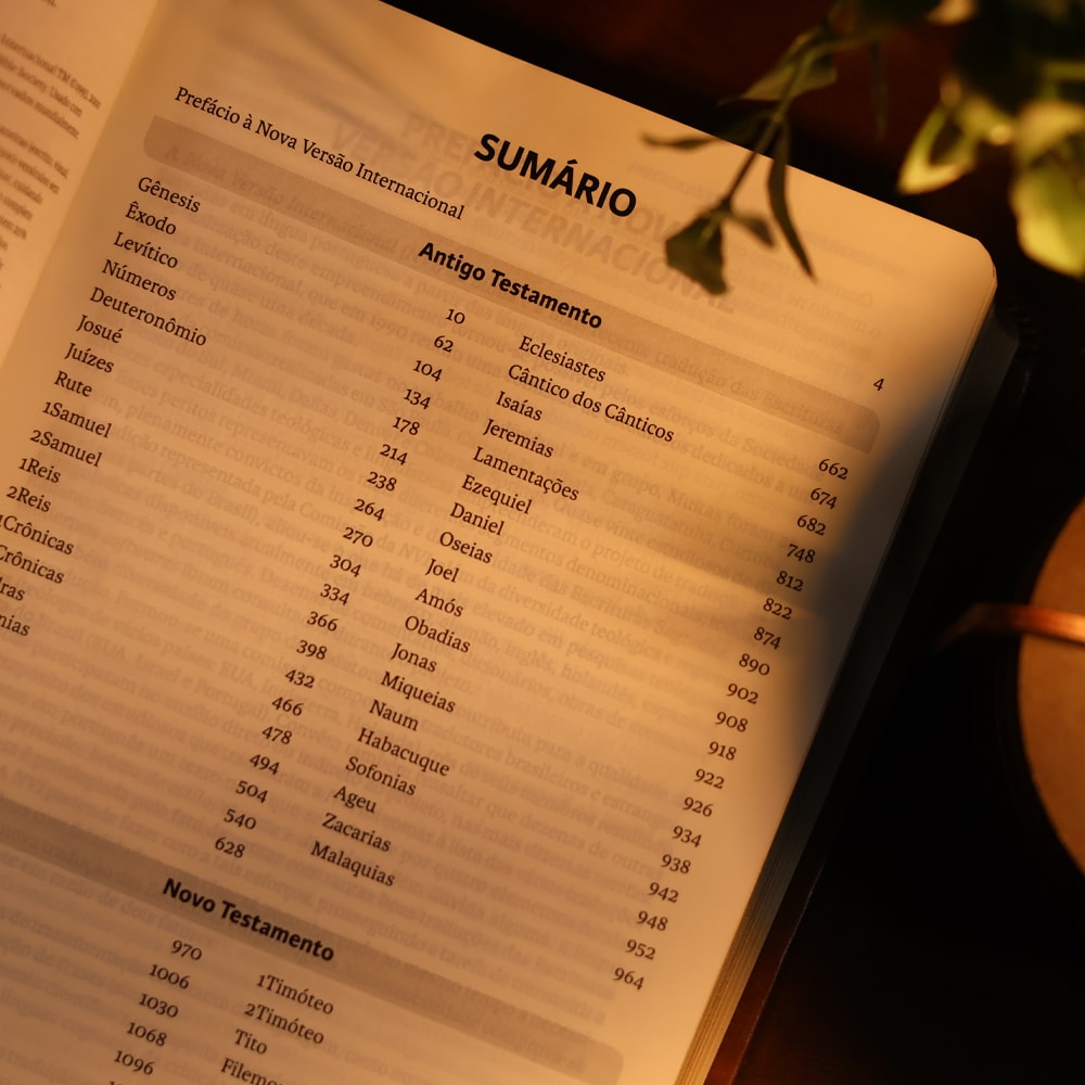 Bíblia Sagrada | NVI | Letra Grande | Marrom
