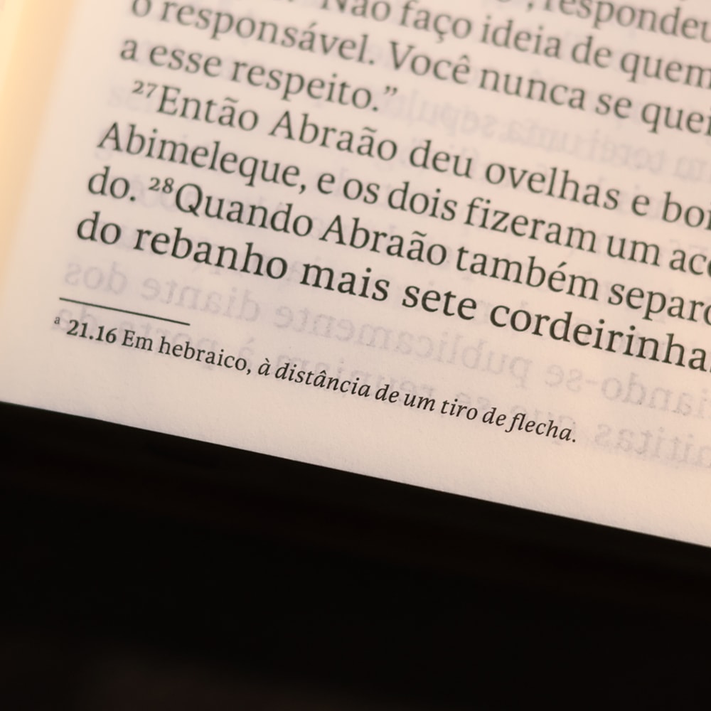 Bíblia Sagrada | NVT | Letra Gigante | Marrom