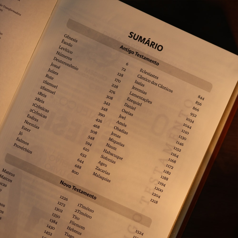 Bíblia Sagrada | NVT | Letra Gigante | Marrom