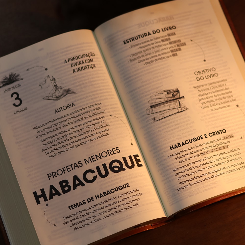 Bíblia Sagrada | NVT | Letra Grande | Marrom