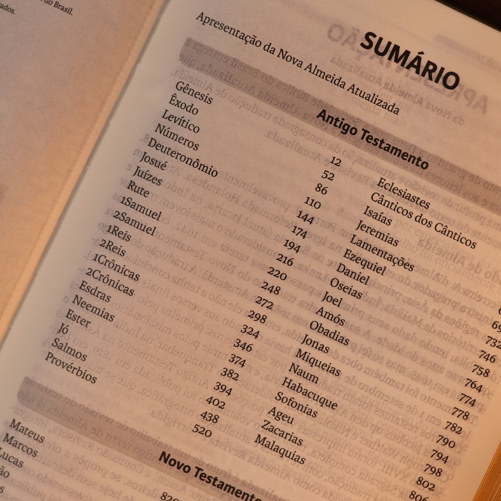 Bíblia Sagrada Slim | NAA | Marrom