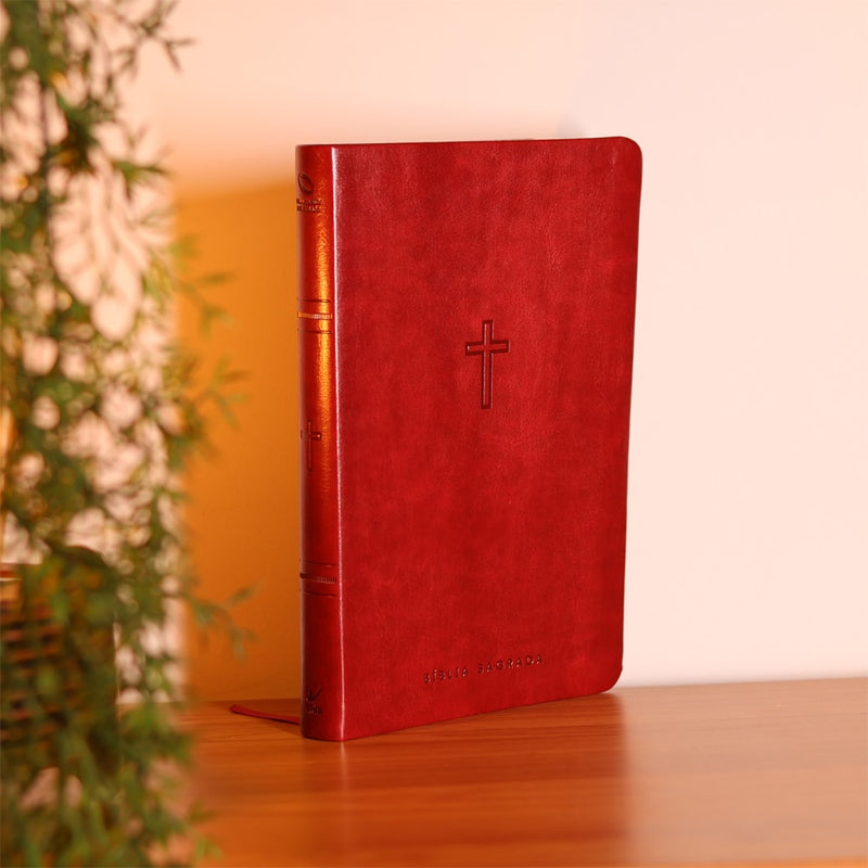 Bíblia Sagrada Slim | NAA | Vinho