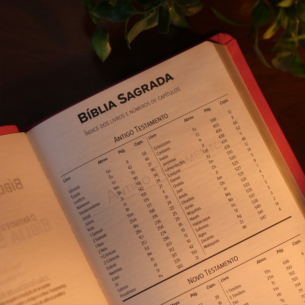 Bíblia Sagrada | ARC | Letra Normal | Capa Luxo Pink