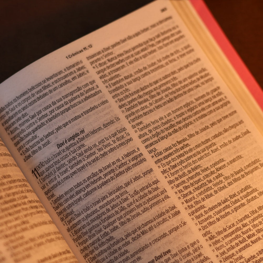 Bíblia Sagrada | ARC | Letra Normal | Capa Luxo Pink
