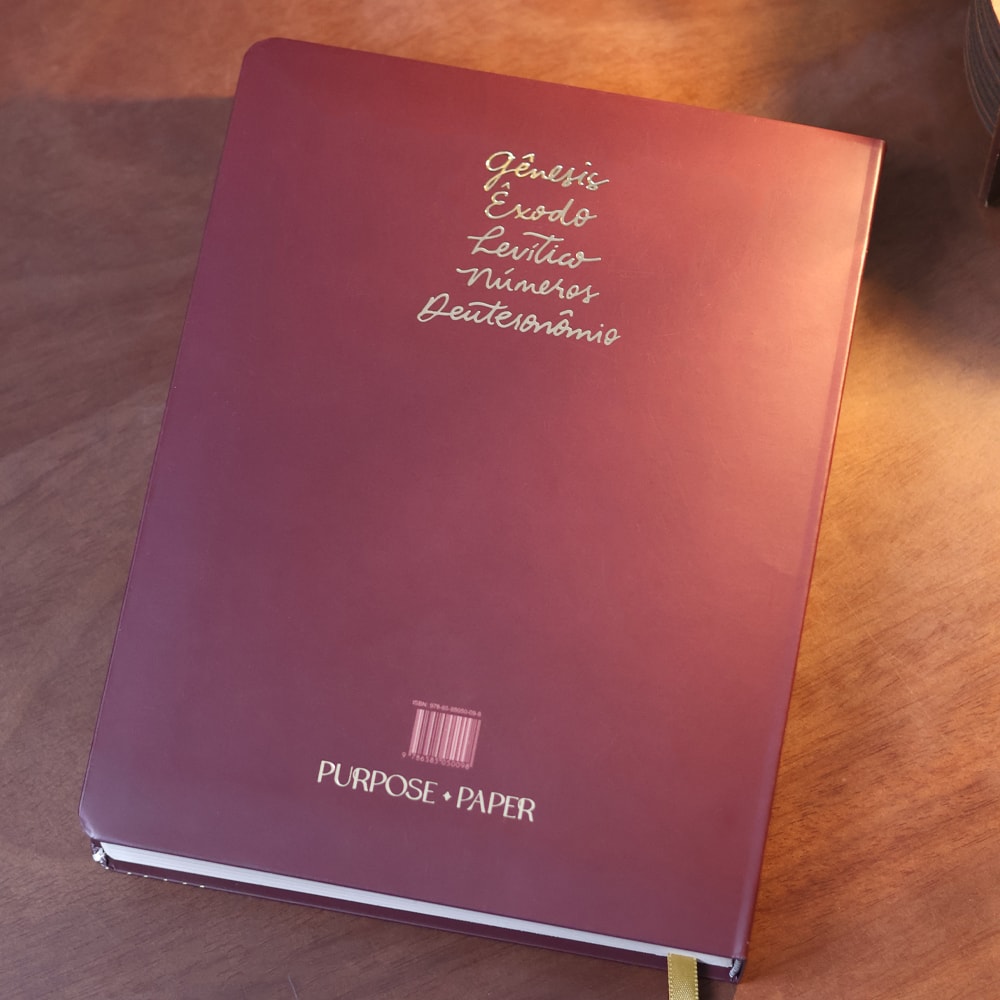 Bible Journal | Pentateuco