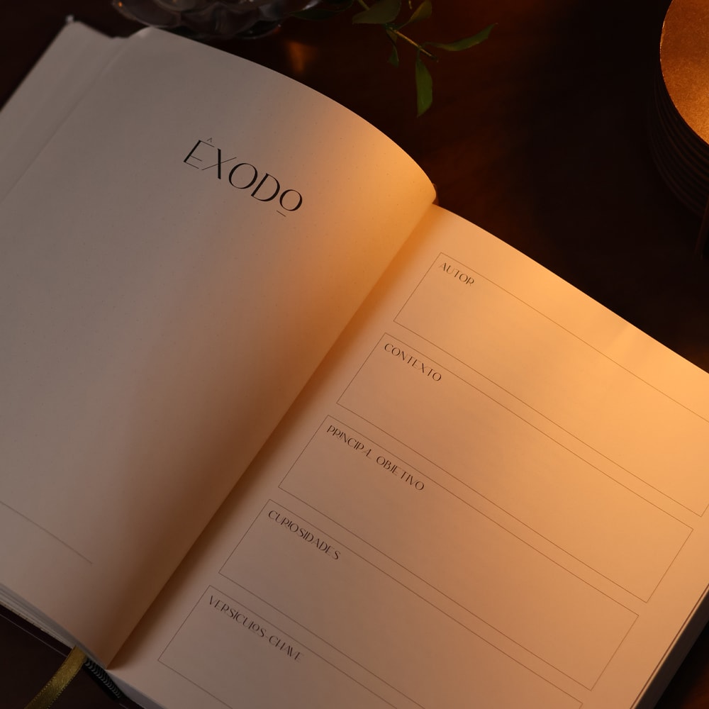 Bible Journal | Pentateuco