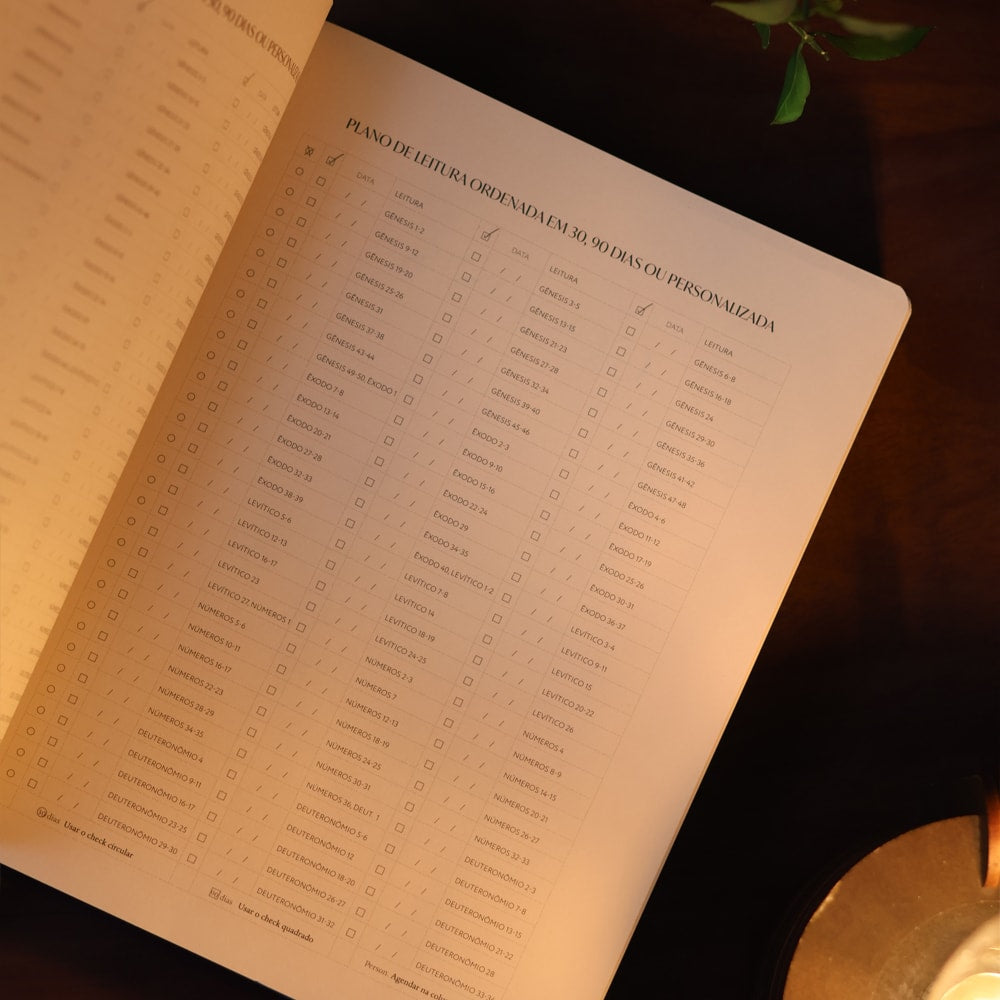 Bible Journal | Pentateuco