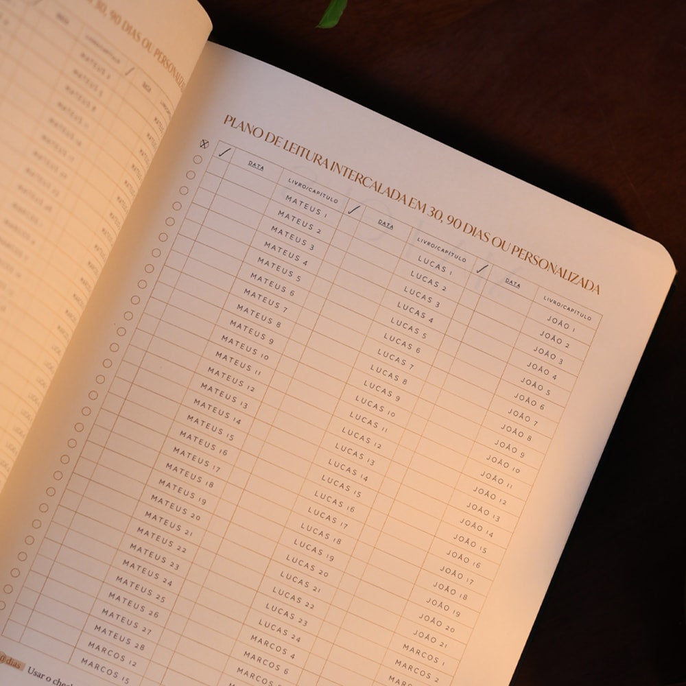 Bible Journal | Evangelhos