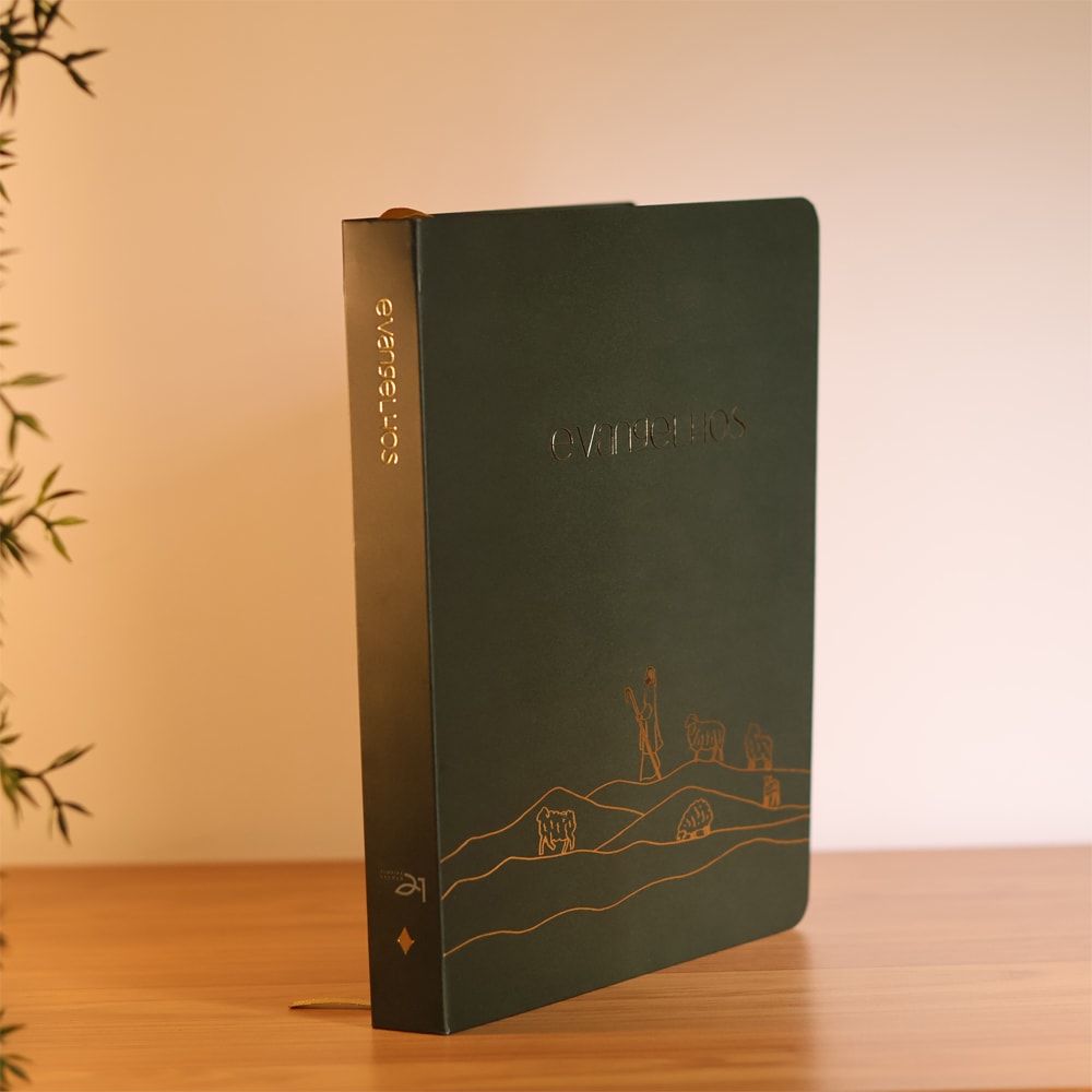 Bible Journal | Evangelhos