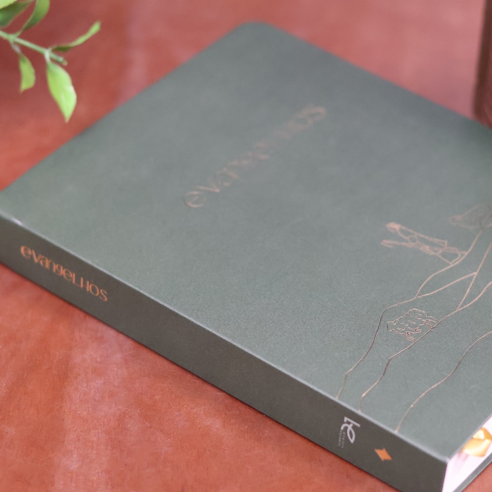 Bible Journal | Evangelhos