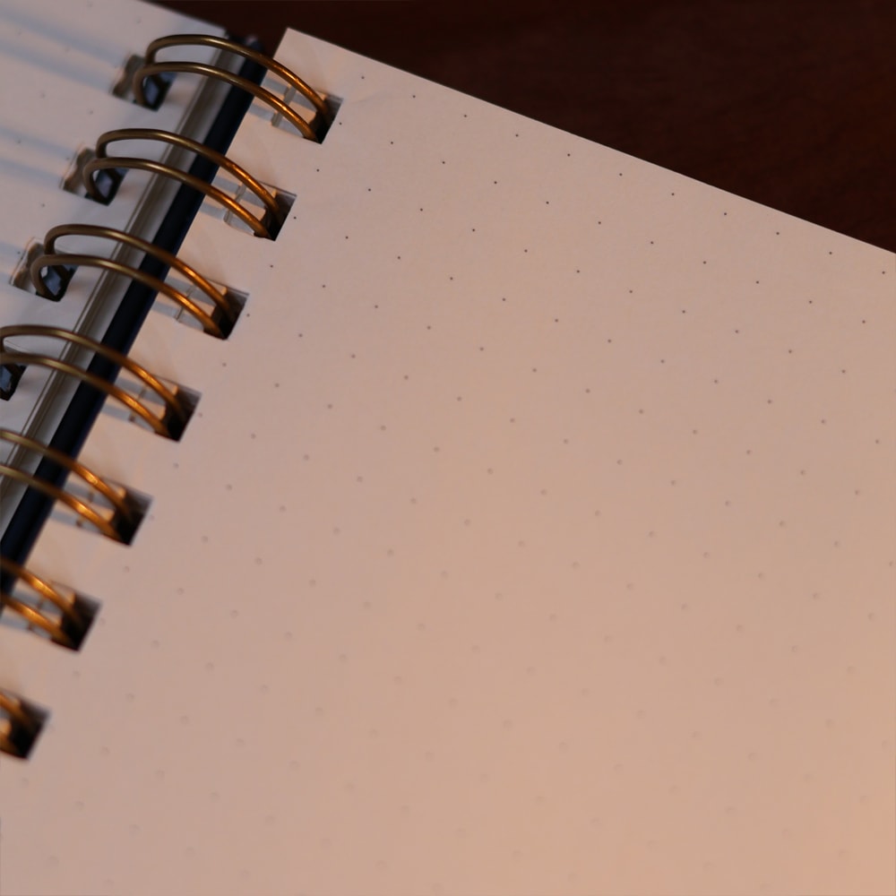 Caderno Espírito | Pássaros | Azul