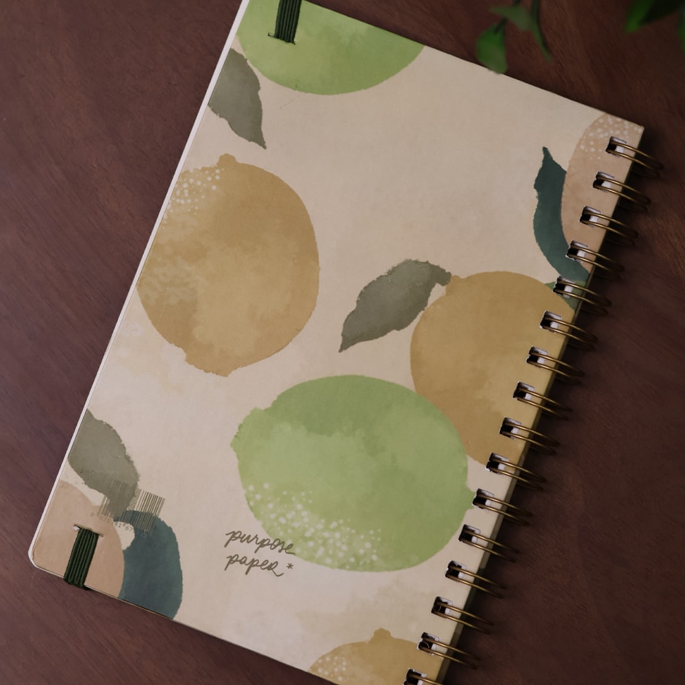 Caderno Vivendo no Espírito | Limões