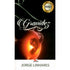 Livro Gravidez, capa preta com imagem de silhueta de mulher grávida e bebê iluminado. — Plenitude