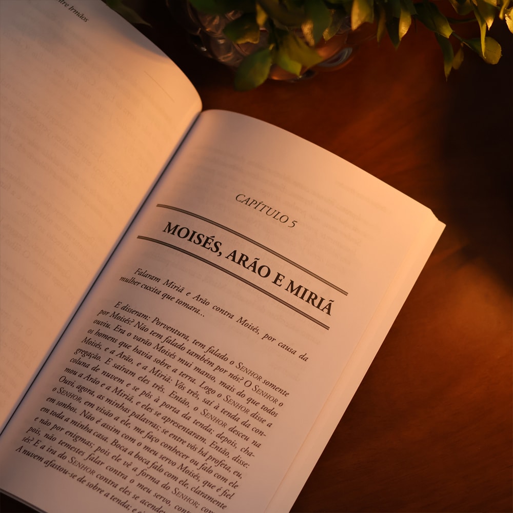 Briga Entre Irmãos | Jorge Linhares