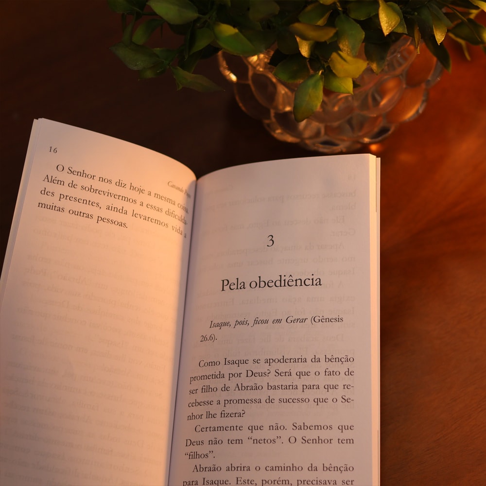 Cavando Poços | Jorge Linhares