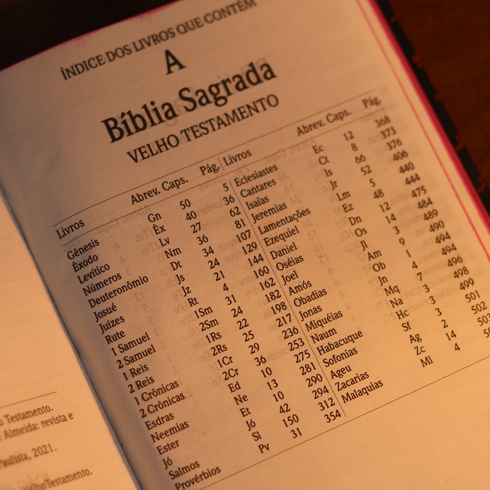 Bíblia Sagrada 860 | ARC | Letra Normal |  Leão Coroa de Espinhos