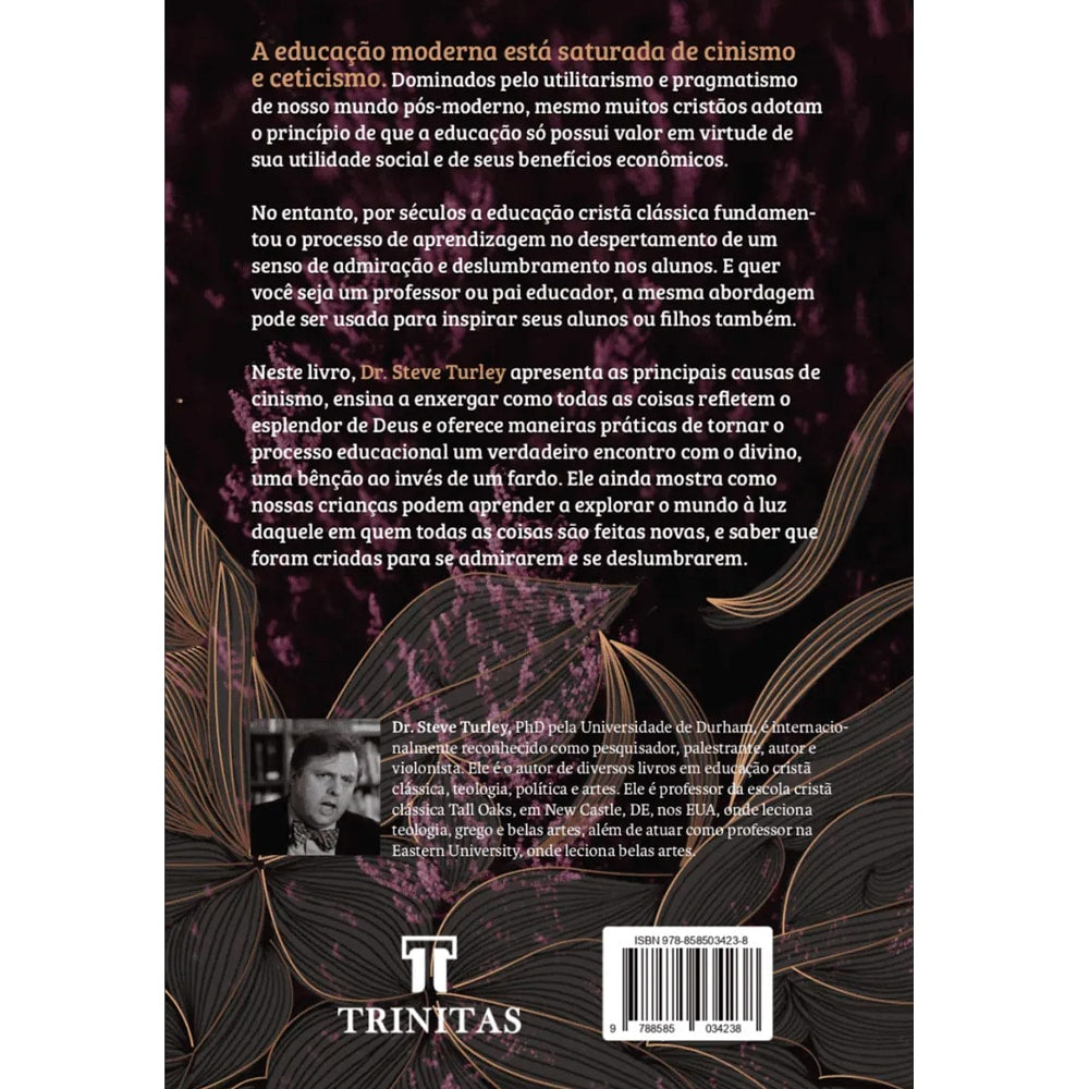 Teologia do Deslumbramento | Steve Turley