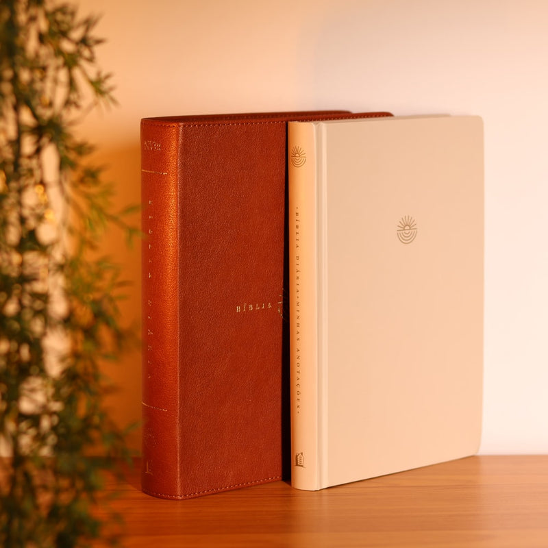 Bíblia Diária Marrom | NVI | Leitura Perfeita | Couro Soft