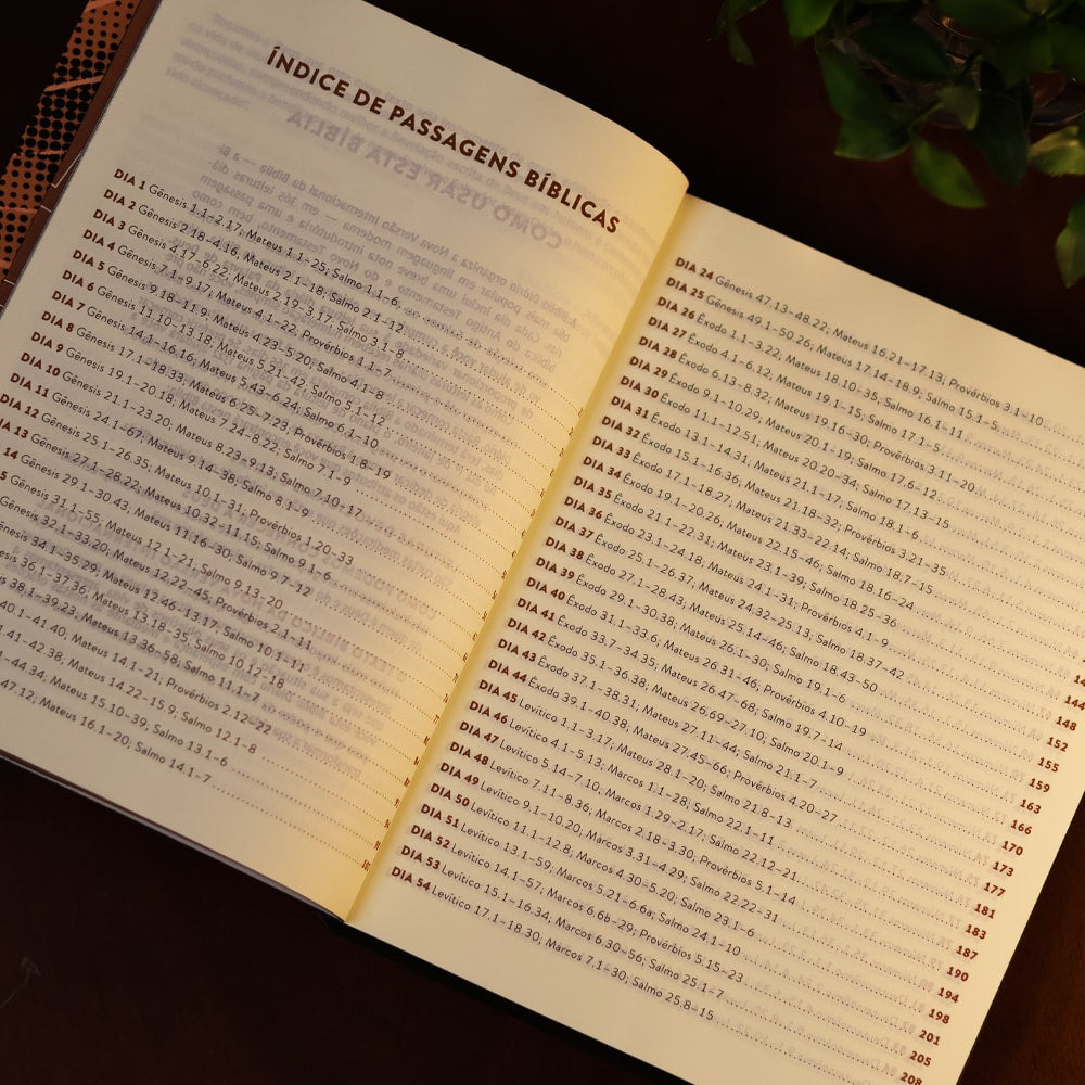 Bíblia Diária Montanha| NVI | Leitura Perfeita | Capa Brochura