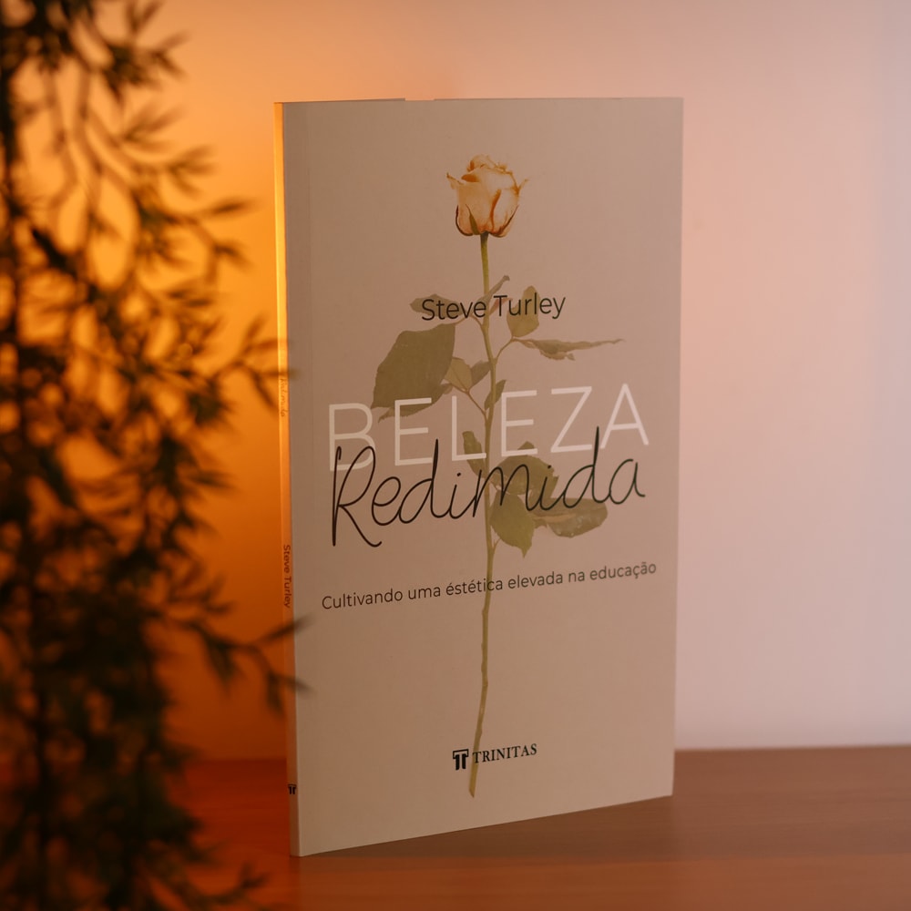Beleza Redimida | Steve Turley