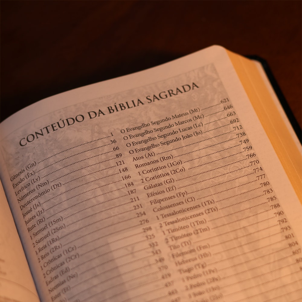 Bíblia King James Atualizada Slim | KJA | Letra Normal | Preta e Marrom