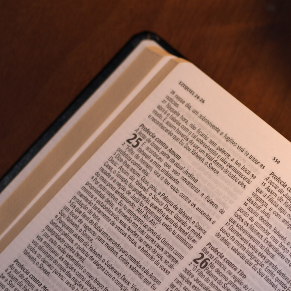 Bíblia King James Atualizada Slim | KJA | Letra Normal | Preta e Marrom
