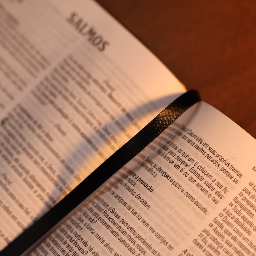 Bíblia King James Atualizada Slim | KJA | Letra Normal | Preta e Marrom