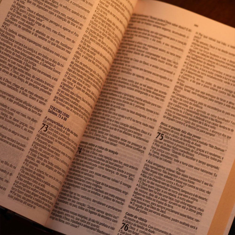 Bíblia King James Atualizada Slim | KJA | Letra Normal | Preta e Marrom