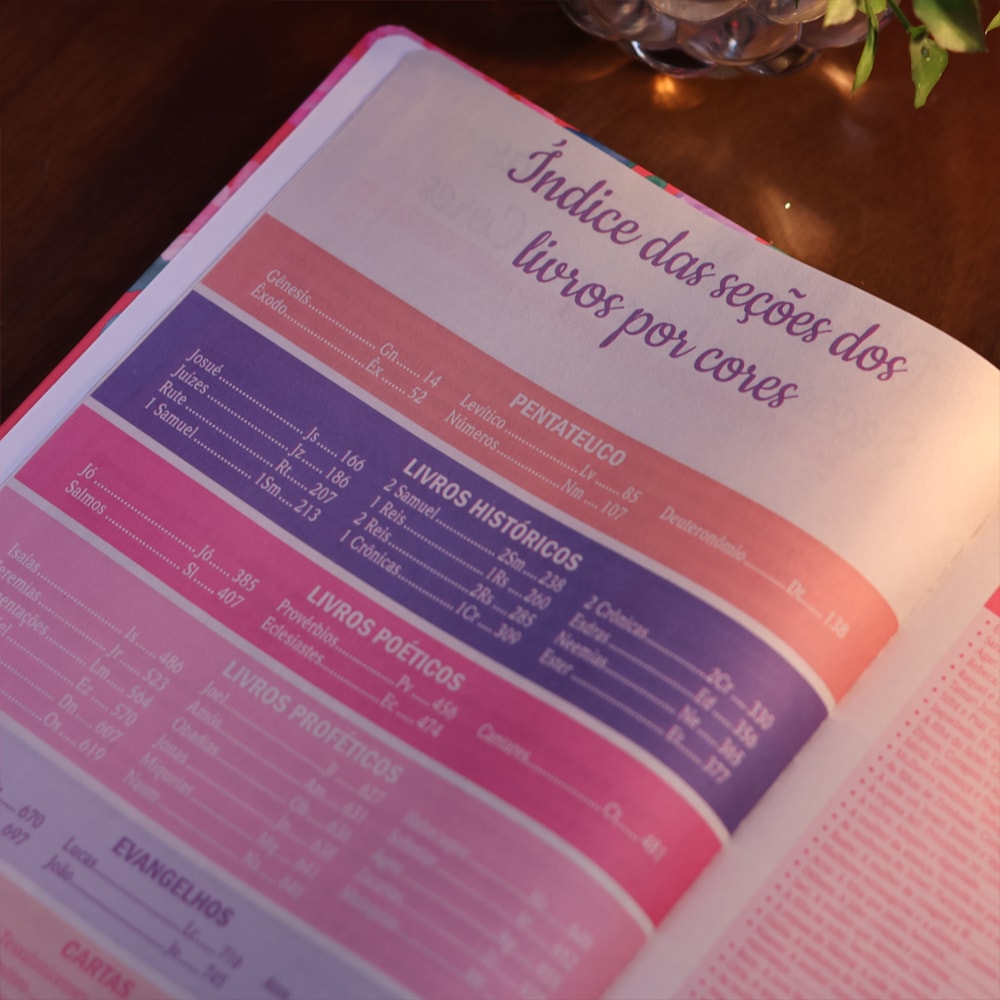 Bíblia de Estudo Para o Cotidiano da Mulher | NVA | Full Collor | Capa Dura Rosa Intenso